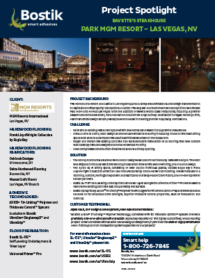 T3212 Bavette's Steakhouse Project Spotlight